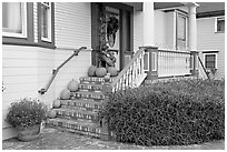 House entrance with pumpkins. Half Moon Bay, California, USA ( black and white)