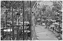 Man browsing in colorful outdoor antique display. Half Moon Bay, California, USA (black and white)