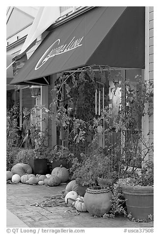 Art gallery decorated with large pumpkins. Half Moon Bay, California, USA (black and white)