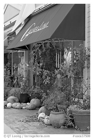 Art gallery decorated with large pumpkins. Half Moon Bay, California, USA