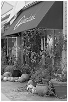 Art gallery decorated with large pumpkins. Half Moon Bay, California, USA ( black and white)