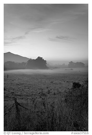 Pasture with fog at sunset. San Mateo County, California, USA