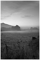 Pasture with fog at sunset. San Mateo County, California, USA (black and white)