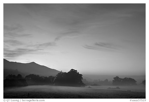 Foggy pasture at sunset near La Honda Road. San Mateo County, California, USA