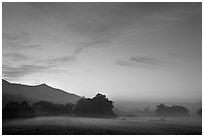 Foggy pasture at sunset near La Honda Road. San Mateo County, California, USA (black and white)