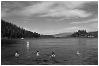 Family in water, Emerald Bay, California. USA ( black and white)