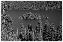 Forested slopes and Fannette Island, Emerald Bay, California. USA ( black and white)