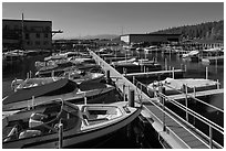 Sunnyside marina, West Shore, Lake Tahoe , California. USA (black and white)