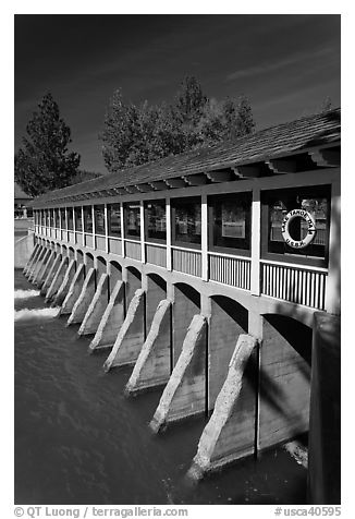 Flat Slab Butteress Lake Tahoe Dam, California. USA (black and white)