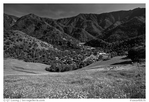 El Portal, nested below hills covered with spring flowers. El Portal, California, USA (black and white)