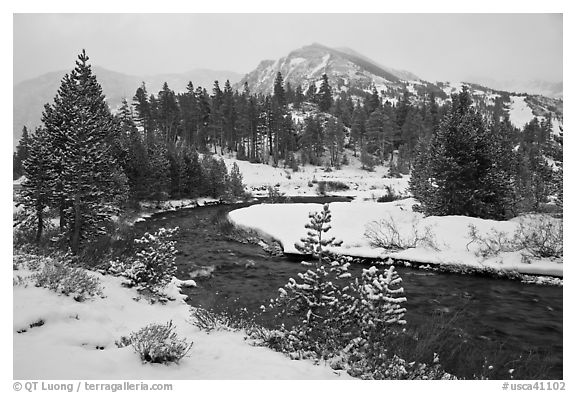 Creek, trees, and mountains with fresh snow. California, USA (black and white)