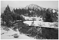 Creek, trees, and mountains with fresh snow. California, USA ( black and white)