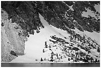 Sunlit Slope with snow, Ellery Lake. California, USA (black and white)