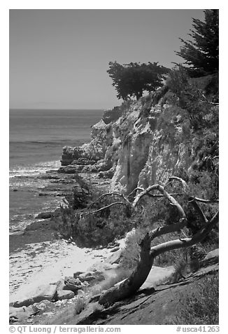 Coastal bluff. Santa Barbara, California, USA (black and white)