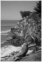 Coastal bluff. Santa Barbara, California, USA (black and white)