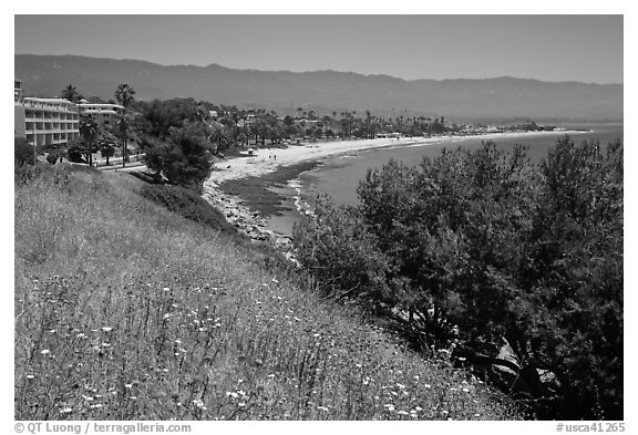 Hillside and waterfront. Santa Barbara, California, USA (black and white)
