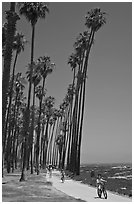 Families riding on beachside pathway. Santa Barbara, California, USA (black and white)