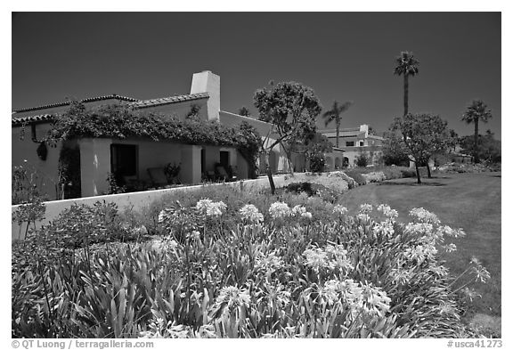 Mediterranean-style houses, flowers, and palm trees. Santa Barbara, California, USA (black and white)