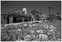 Mediterranean-style houses, flowers, and palm trees. Santa Barbara, California, USA ( black and white)