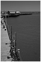 Stearns Wharf from above. Santa Barbara, California, USA ( black and white)