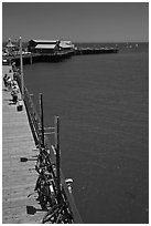 Stearns Wharf from above. Santa Barbara, California, USA (black and white)