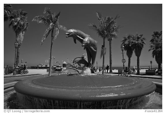 Dolphin fountain and beach. Santa Barbara, California, USA (black and white)