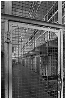 Grids and cells, Alcatraz Prison interior. San Francisco, California, USA ( black and white)