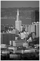 City Hall and Transamerica Pyramid, late afternoon. San Francisco, California, USA (black and white)