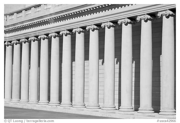 Columns, California Palace of the Legion of Honor. San Francisco, California, USA (black and white)