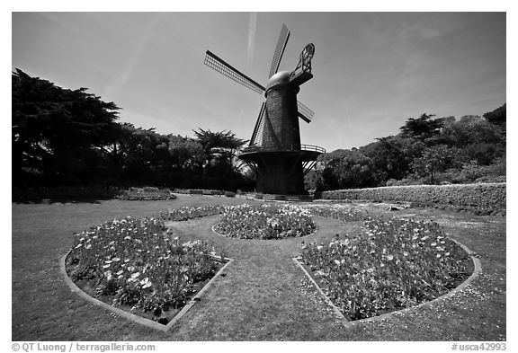 Spring flowers and old Dutch windmill, Golden Gate Park. San Francisco, California, USA