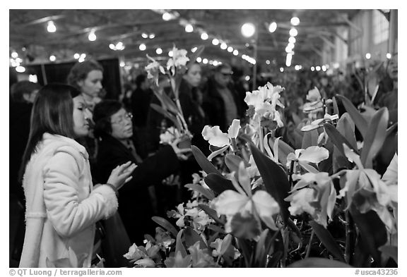 Women look at orchids during festival, Mason Center. San Francisco, California, USA