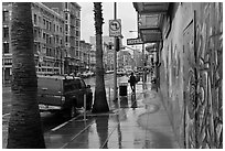 Rainy street. San Francisco, California, USA ( black and white)
