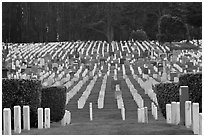 San Francisco National Cemetery, Presidio of San Francisco. San Francisco, California, USA (black and white)