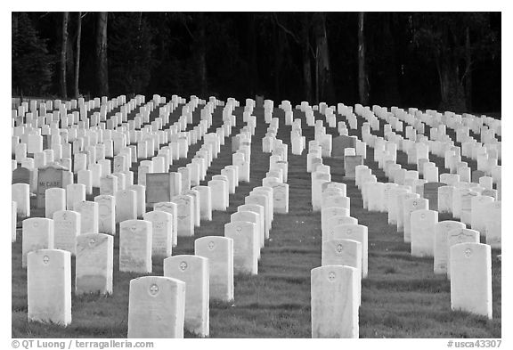 Rows of headstones, San Francisco National Cemetery, Presidio. San Francisco, California, USA (black and white)