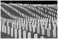 Graves, San Francisco National Cemetery, Presidio. San Francisco, California, USA (black and white)