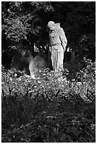 Father Statue and flowers, Mission Dolores garden. San Francisco, California, USA ( black and white)