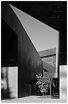 Opening, De Young Museum. San Francisco, California, USA (black and white)