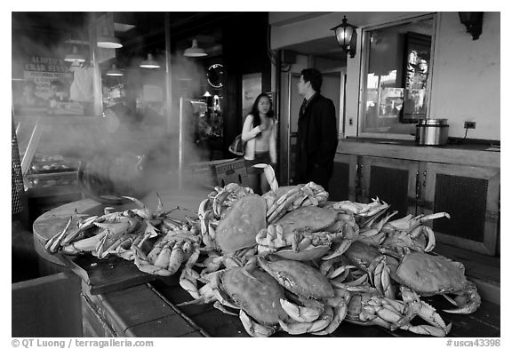 Crabs ready to be cooked, Fishermans wharf. San Francisco, California, USA (black and white)