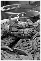 Close-up of crabs, Fishermans wharf. San Francisco, California, USA (black and white)