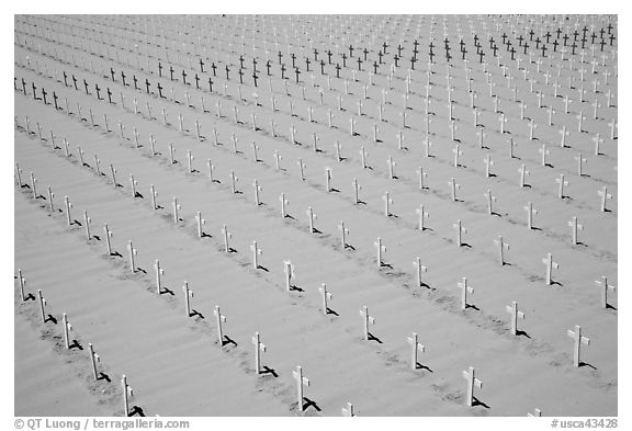 Sea of white and red crosses on Santa Monica beach. Santa Monica, Los Angeles, California, USA (black and white)