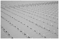 Sea of white and red crosses on Santa Monica beach. Santa Monica, Los Angeles, California, USA ( black and white)