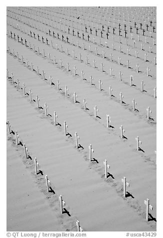 Arlington West memorial crosses. Santa Monica, Los Angeles, California, USA