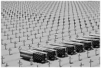 Flag draped coffins and crosses, Santa Monica beach. Santa Monica, Los Angeles, California, USA (black and white)