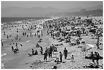 Crowded beach in summer. Santa Monica, Los Angeles, California, USA ( black and white)