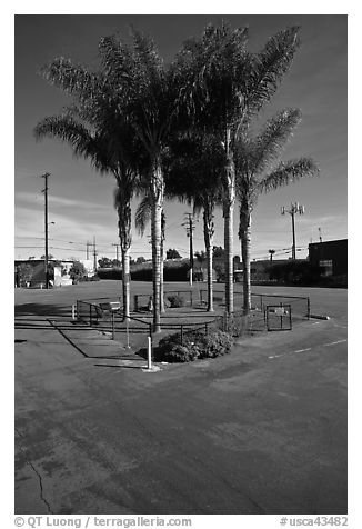 Tiny fenced park, Bergamot Station arts center. Santa Monica, Los Angeles, California, USA (black and white)