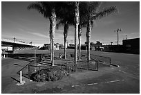 Tiniest park with grass and palm trees, Bergamot Station. Santa Monica, Los Angeles, California, USA (black and white)