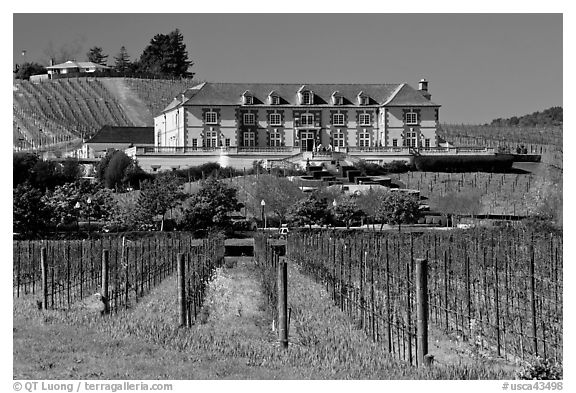 Vineyard and chateau style winery in spring. Napa Valley, California, USA (black and white)