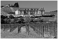 Vineyard and chateau style winery in spring. Napa Valley, California, USA ( black and white)