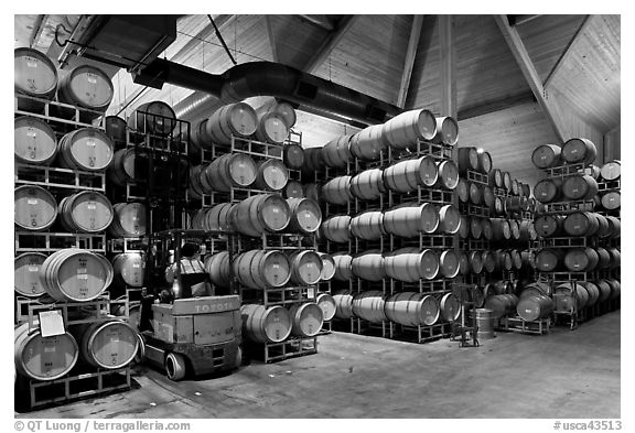 Winery barrel room and forklift. Napa Valley, California, USA (black and white)