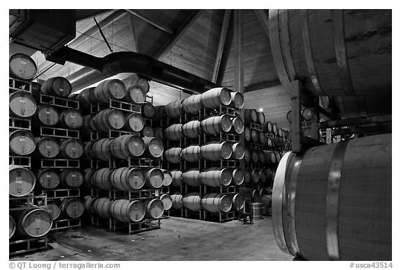 Wine barrels in aging room. Napa Valley, California, USA (black and white)